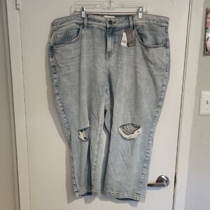 Lane Bryant Light Blue Cropped Jeans